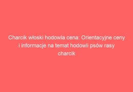 Charcik włoski hodowla cena: Orientacyjne ceny i informacje na temat hodowli psów rasy charcik włoski