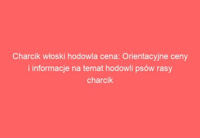 Charcik włoski hodowla cena: Orientacyjne ceny i informacje na temat hodowli psów rasy charcik włoski