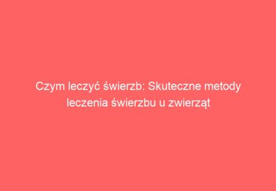 Czym leczyć świerzb: Skuteczne metody leczenia świerzbu u zwierząt