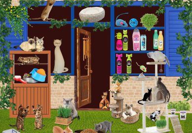 Czy psy mogą rozumieć zasadę przyczyny i skutku?