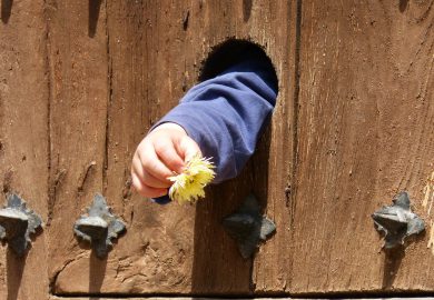 Kiedy pies potrzebuje trenera: jakie zachowania wymagają profesjonalnej interwencji