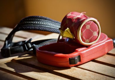 Drzwi dla psa dużego: Jak wybrać odpowiednie drzwi dla dużych ras psów?