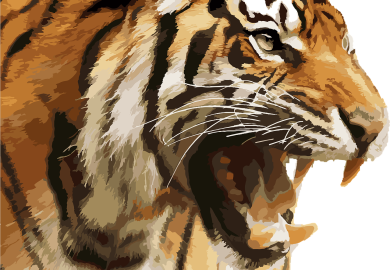 Praca Optyka: Jakie umiejętności są potrzebne w pracy optyka?