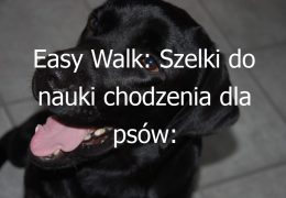 Easy Walk: Szelki do nauki chodzenia dla psów: Jak skutecznie nauczyć psa chodzenia na smyczy
