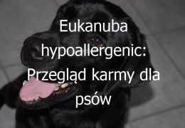 Eukanuba hypoallergenic: Przegląd karmy dla psów marki Eukanuba o właściwościach hypoalergicznych