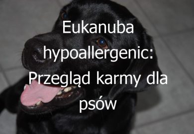 Eukanuba hypoallergenic: Przegląd karmy dla psów marki Eukanuba o właściwościach hypoalergicznych