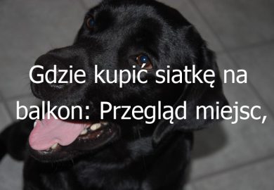 Gdzie kupić siatkę na balkon: Przegląd miejsc, gdzie można zakupić siatkę zabezpieczającą balkon dla zwierząt