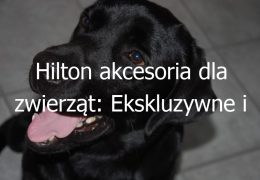 Hilton akcesoria dla zwierząt: Ekskluzywne i stylowe produkty dla wymagających właścicieli