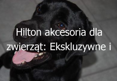 Hilton akcesoria dla zwierząt: Ekskluzywne i stylowe produkty dla wymagających właścicieli