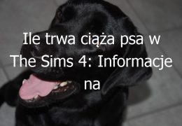 Ile trwa ciąża psa w The Sims 4: Informacje na temat symulacji ciąży u psów w grze The Sims 4