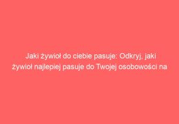 Jaki żywioł do ciebie pasuje: Odkryj, jaki żywioł najlepiej pasuje do Twojej osobowości na podstawie cech charakterystycznych zwierząt
