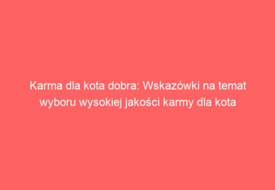 Karma dla kota dobra: Wskazówki na temat wyboru wysokiej jakości karmy dla kota