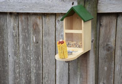 Zrozumienie języka ciała psa: Co oznaczają różne zachowania