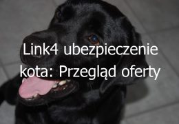 Link4 ubezpieczenie kota: Przegląd oferty ubezpieczeniowej dla kotów i ich właścicieli