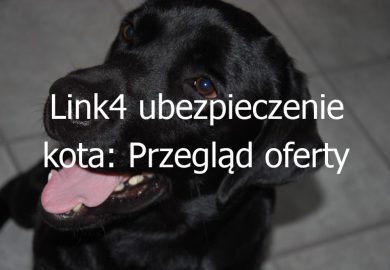 Link4 ubezpieczenie kota: Przegląd oferty ubezpieczeniowej dla kotów i ich właścicieli