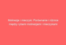 Molinezje i mieczyki: Porównanie i różnice między rybami molinezjami i mieczykami