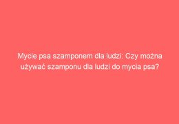 Mycie psa szamponem dla ludzi: Czy można używać szamponu dla ludzi do mycia psa?
