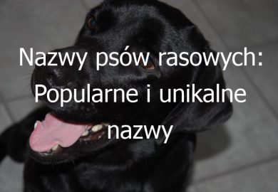 Nazwy psów rasowych: Popularne i unikalne nazwy odpowiednie dla psów rasowych
