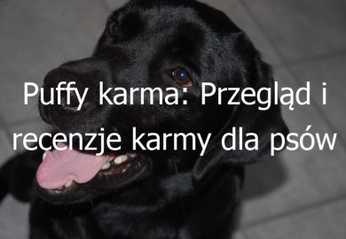 Puffy karma: Przegląd i recenzje karmy dla psów marki Puffy
