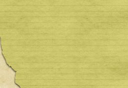 Czy tulipany są trujące dla kotów: Czy tulipany stanowią zagrożenie dla kotów i jakie rośliny unikać