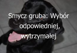 Smycz gruba: Wybór odpowiedniej, wytrzymałej smyczy dla Twojego psa