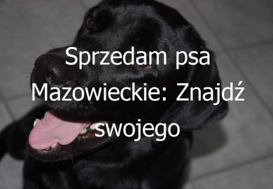 Sprzedam psa Mazowieckie: Znajdź swojego wymarzonego czworonoga w regionie Mazowsze
