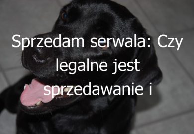 Sprzedam serwala: Czy legalne jest sprzedawanie i posiadanie serwali jako zwierząt domowych?