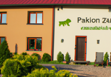 Skuteczne metody nauczania psa komend podstawowych