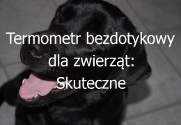 Termometr bezdotykowy dla zwierząt: Skuteczne narzędzie do mierzenia temperatury u zwierząt bez konieczności kontaktu
