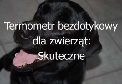 Termometr bezdotykowy dla zwierząt: Skuteczne narzędzie do mierzenia temperatury u zwierząt bez konieczności kontaktu