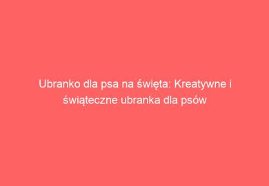Ubranko dla psa na święta: Kreatywne i świąteczne ubranka dla psów