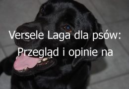 Versele Laga dla psów: Przegląd i opinie na temat karmy dla psów marki Versele Laga