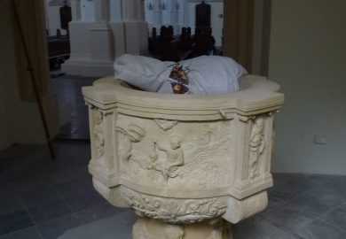 Świerzb – jak się go pozbyć: Metody leczenia i zwalczania świerzbu u zwierząt