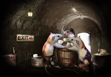 Przemiana nawyków: jak nauczyć psa nowych zachowań poprzez pozytywną motywację