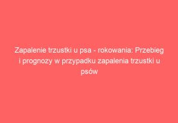 Zapalenie trzustki u psa – rokowania: Przebieg i prognozy w przypadku zapalenia trzustki u psów