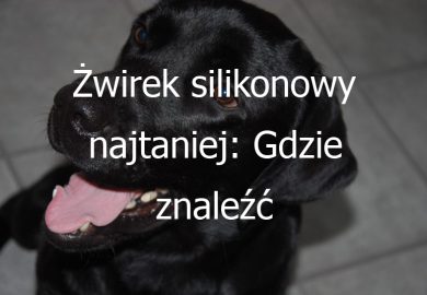 Żwirek silikonowy najtaniej: Gdzie znaleźć najtańszy żwirek silikonowy dla kota?