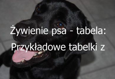 Żywienie psa – tabela: Przykładowe tabelki z zalecanymi porcjami żywienia dla psów o różnych wagach i aktywnościach